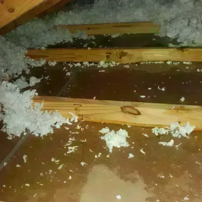 Attic Water Damage in Barton, WI