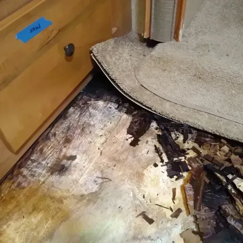 Best Wood Floor Water Damage Service in Barton, WI